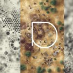 Cvičení Jógy V Těhotenství: Harmonie Těla I Ducha